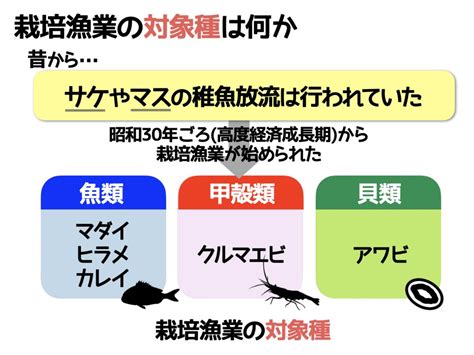 養殖方法|養殖漁業のメリット｜方法・種類や栽培漁業との違い 